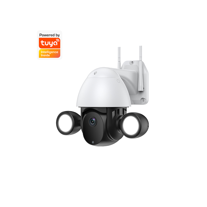 WS-P803-FBT