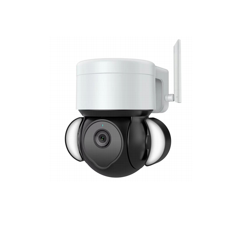 WS-P803-FCT